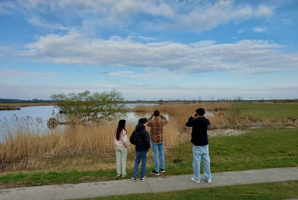 Vogels spotten bij het Reevediep