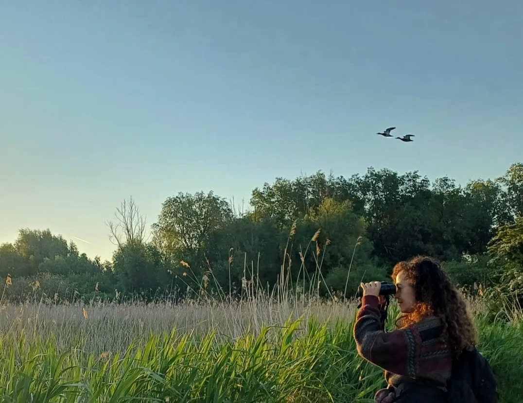 Vroege vogels spotten
