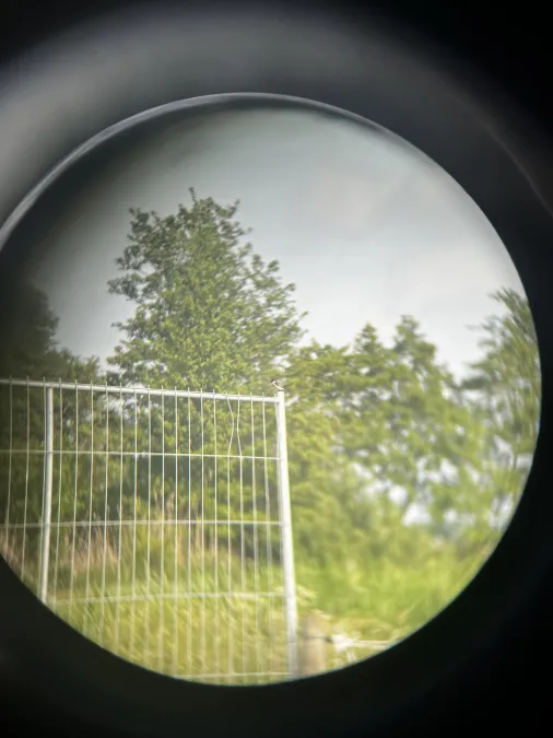 Gespotte Roodborsttapuit