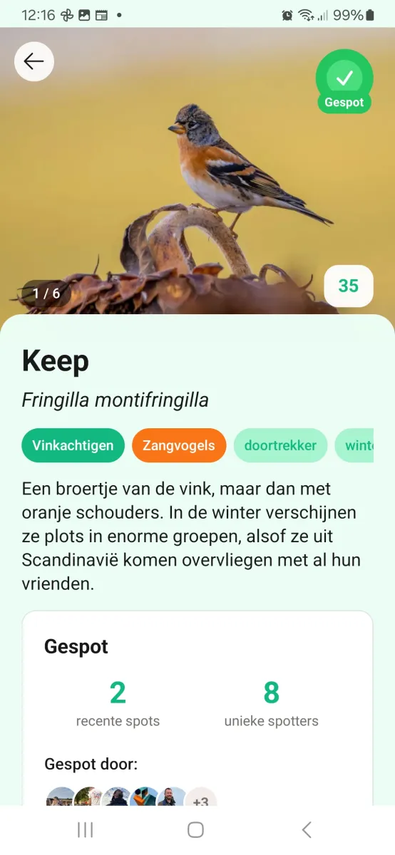 Leer meer over vogels