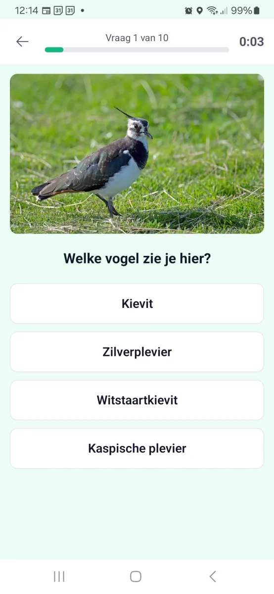 Kievit in quiz op Fladder