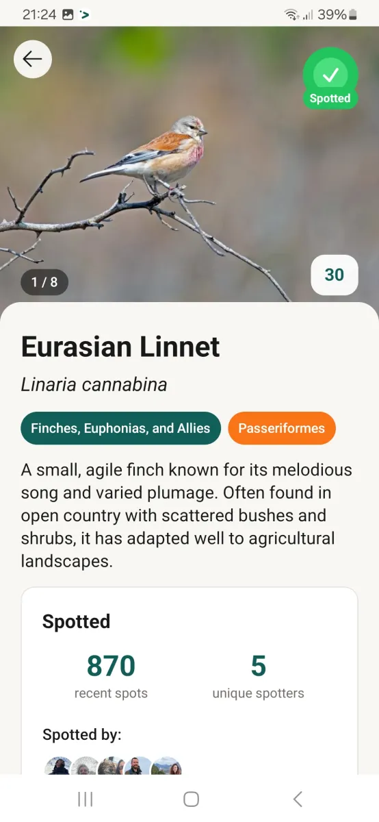 Fladder bird app printscreen