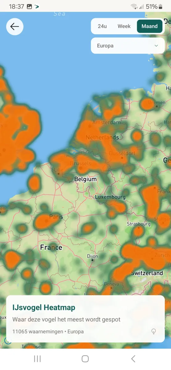 Uitgebreide vogel observatie heatmaps