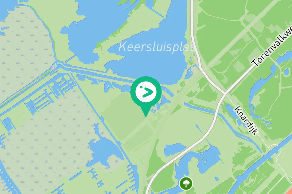 Gespotte Cetti's zanger