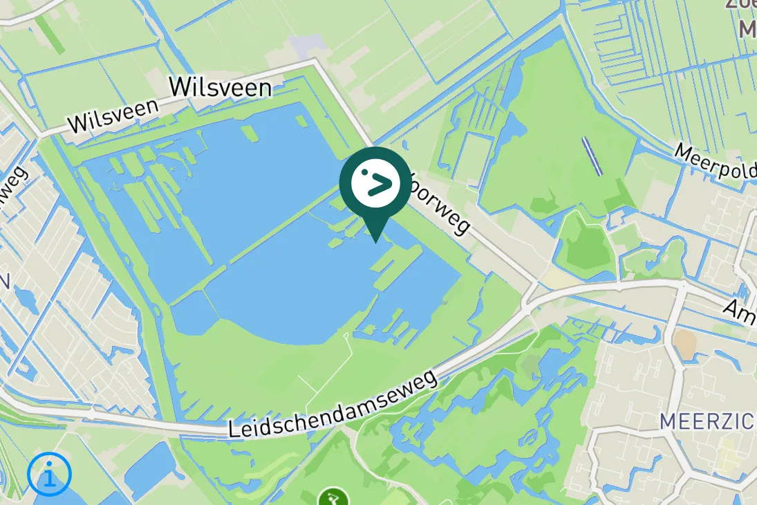 Gespotte Kleine plevier