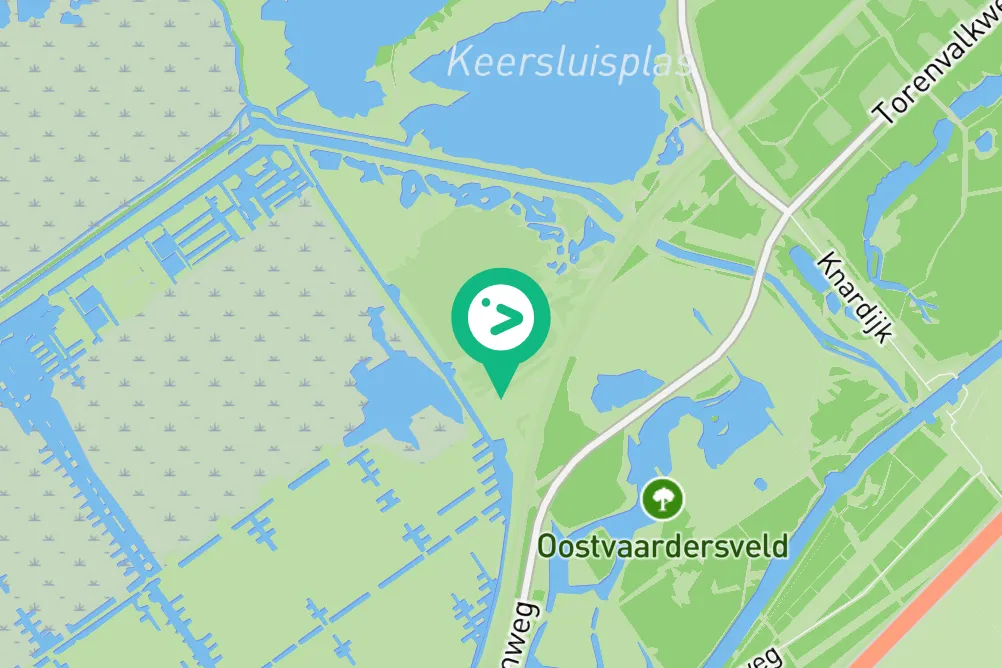Gespotte Spreeuw
