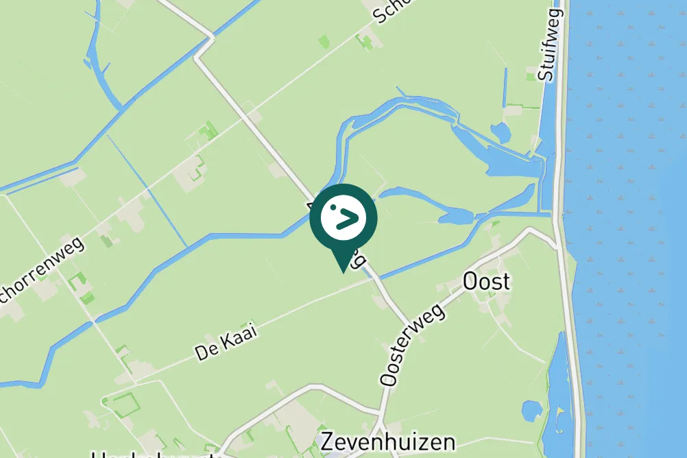 Gespotte Witte kwikstaart