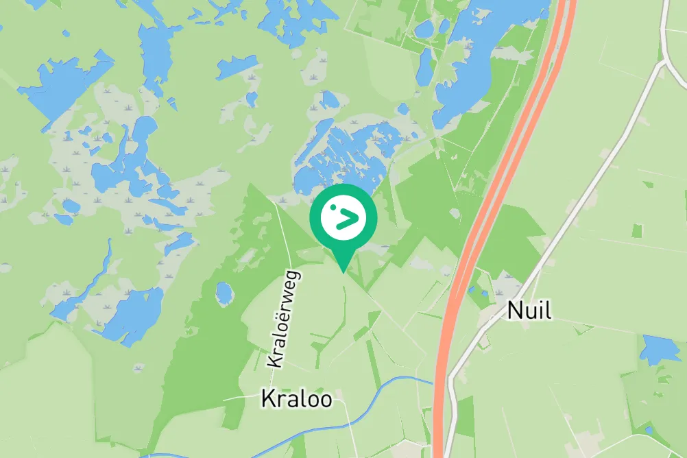 Gespotte Boerenzwaluw