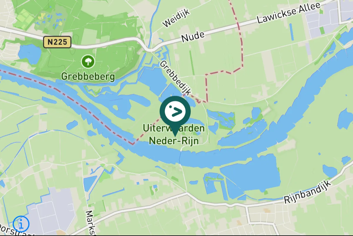 Gespotte Groene specht