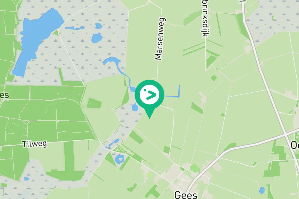 Gespotte Grauwe gans