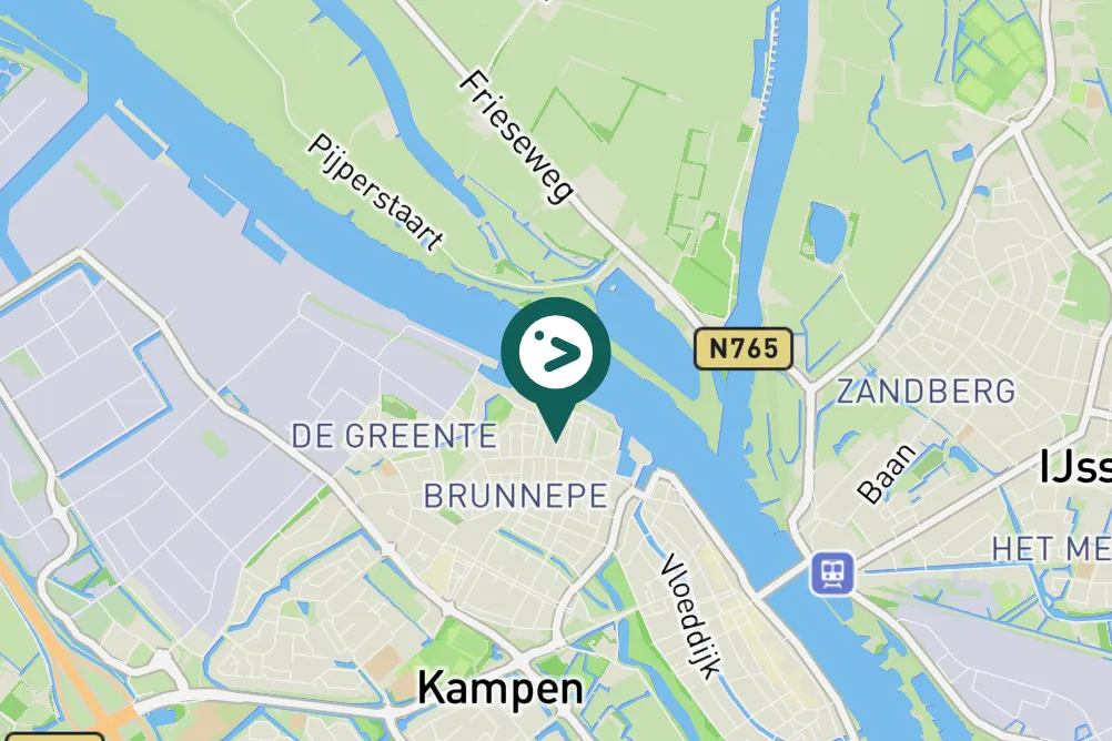 Gespotte Zilvermeeuw