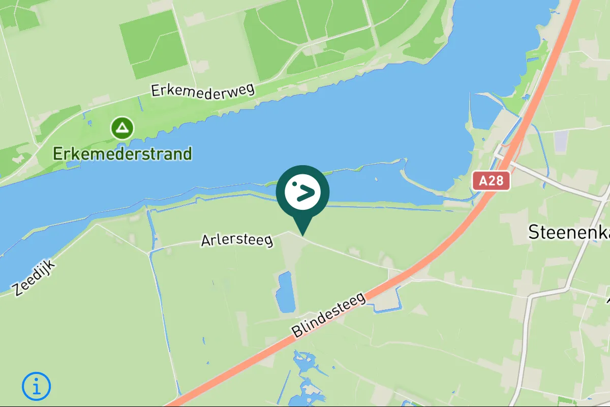 Gespotte Goudplevier