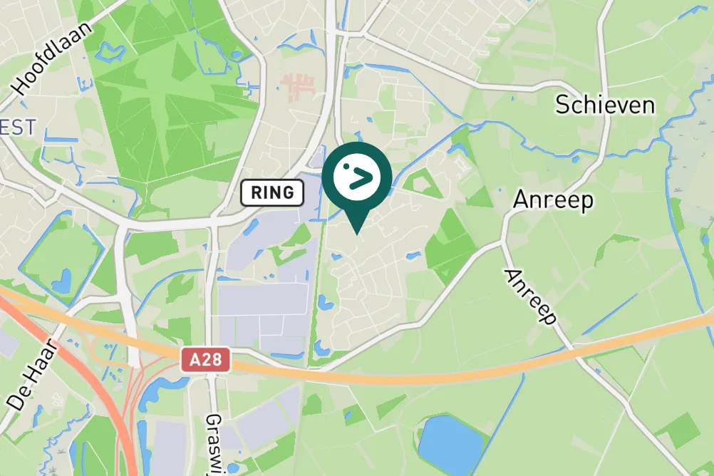 Spotted Great Spotted Woodpecker