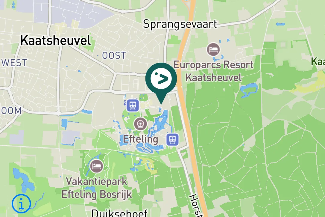 Gespotte Knobbelzwaan