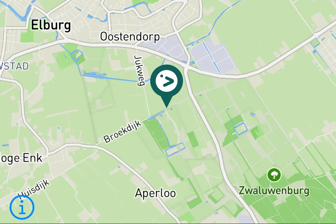 Gespotte Grote bonte specht