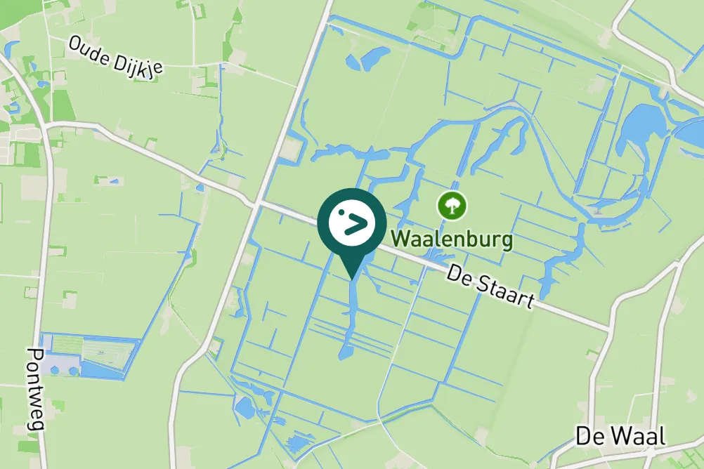 Gespotte Grauwe gans