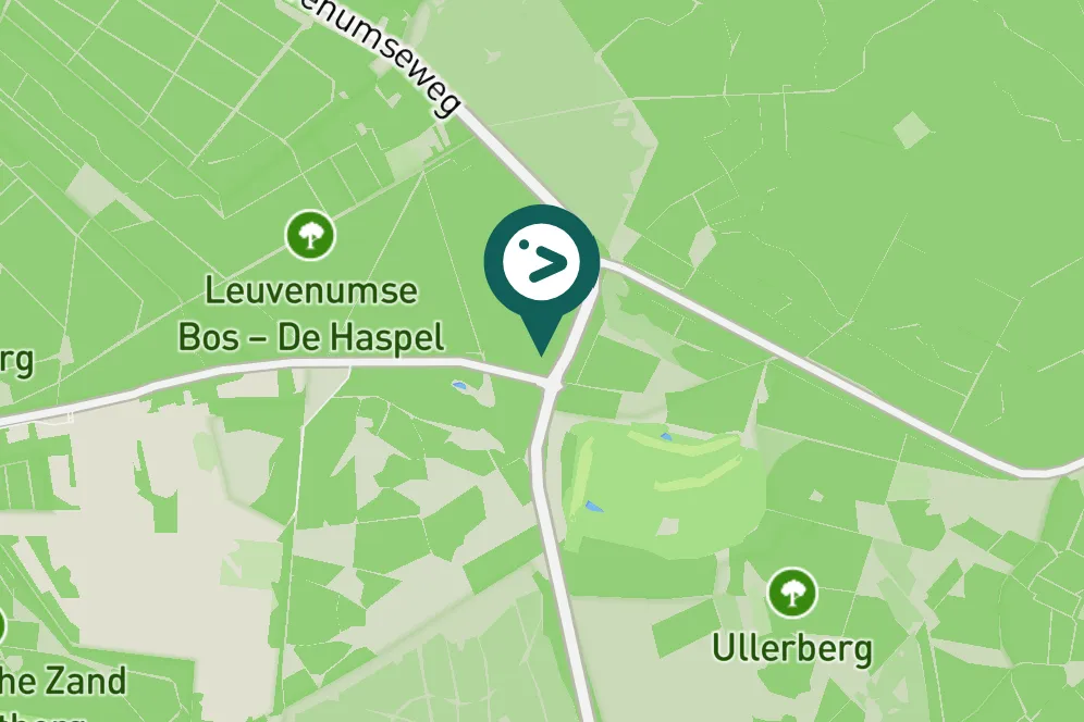 Gespotte Witte kwikstaart