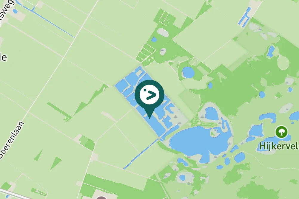 Gespotte Aalscholver