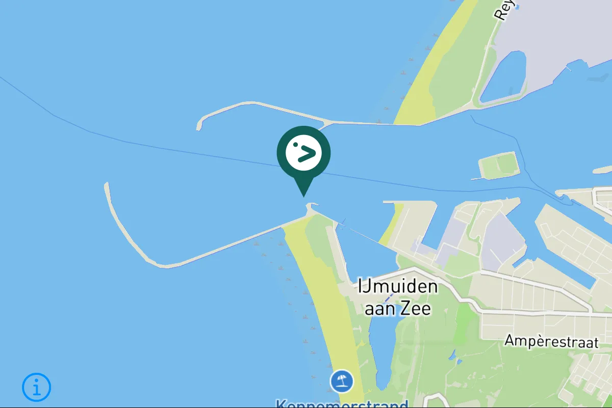 Gespotte Oeverpieper