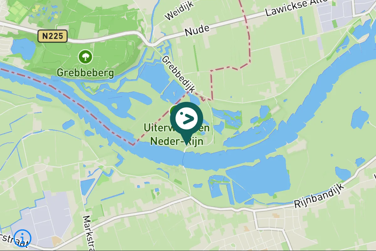 Gespotte Bruine kiekendief