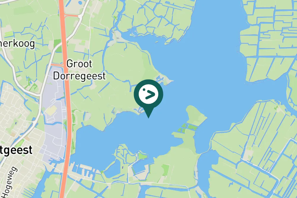 Gespotte Roerdomp