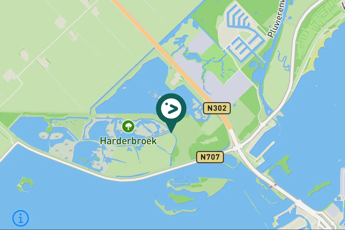 Gespotte Kleine geelpootruiter