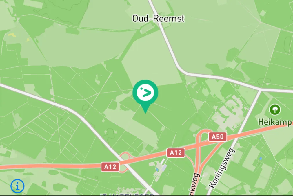 Gespotte Glanskop