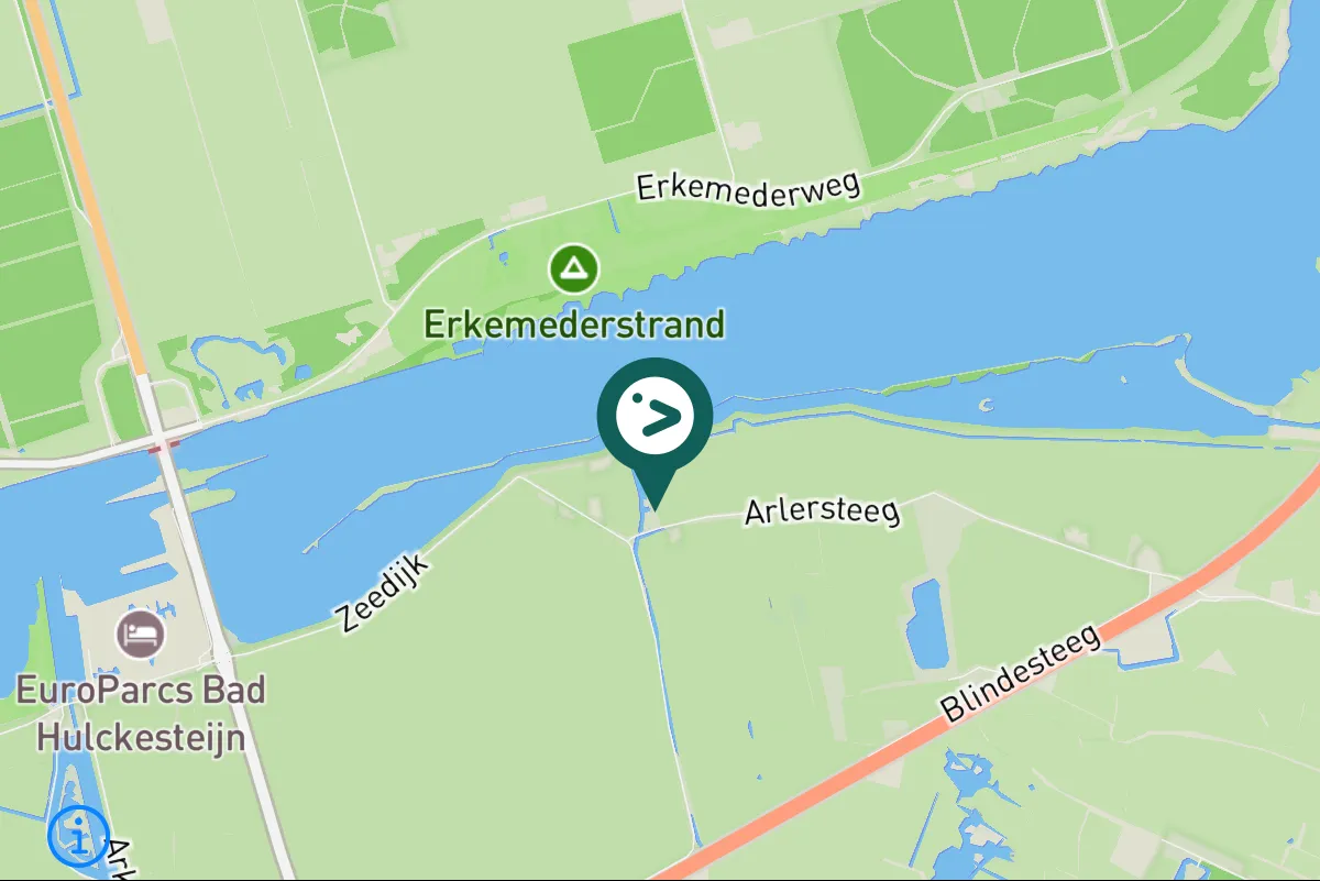 Gespotte Aalscholver