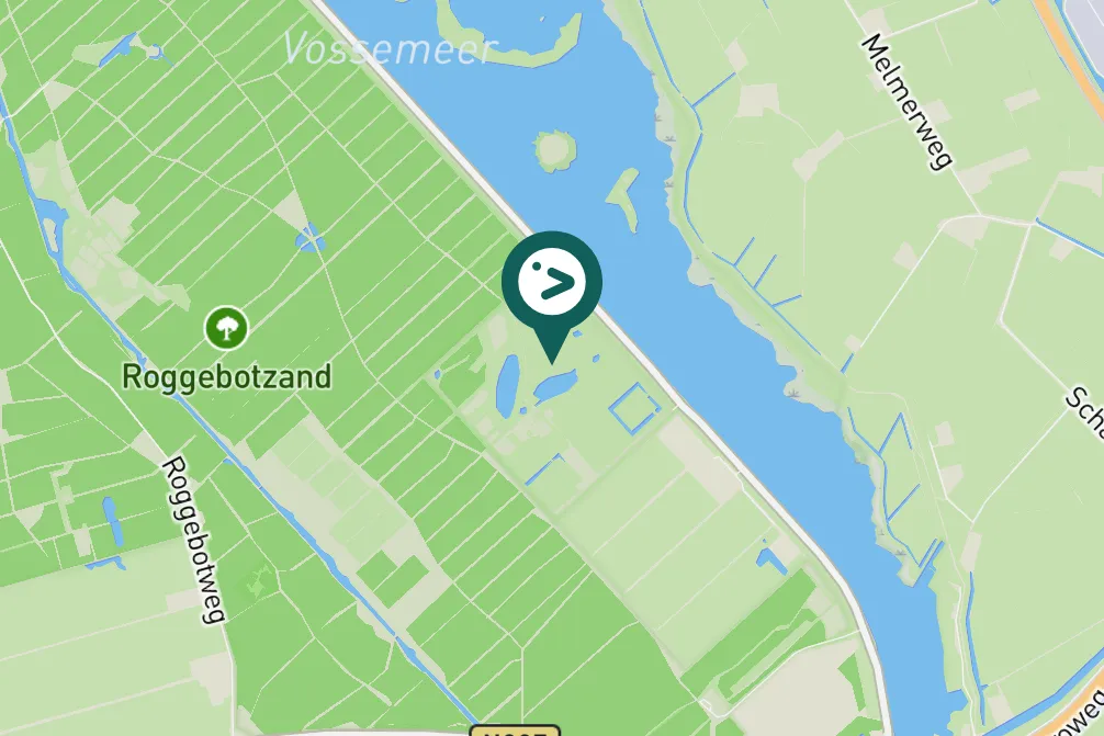 Gespotte Zwarte kraai