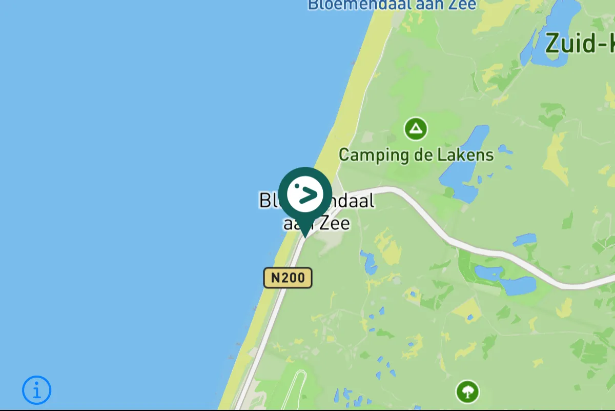 Gespotte Grote mantelmeeuw