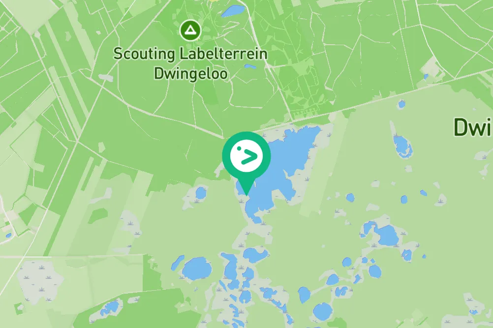Gespotte Grauwe gans