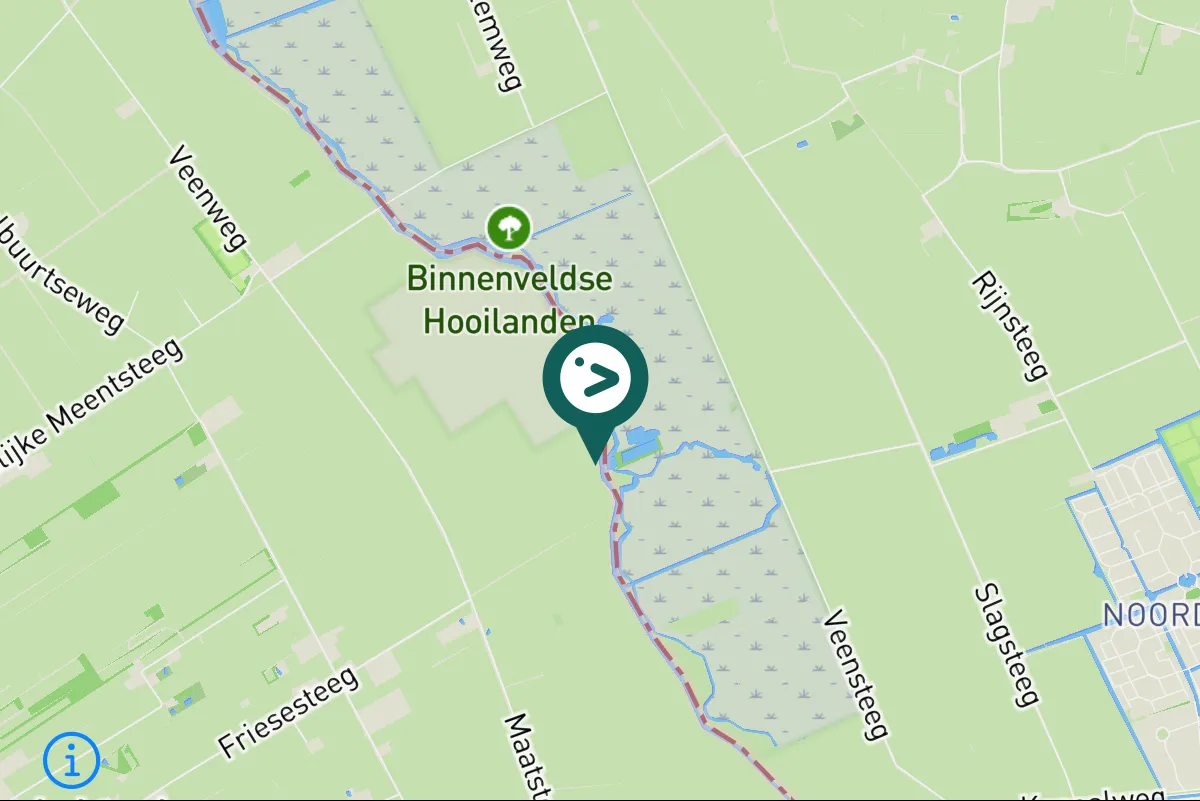 Gespotte Veldleeuwerik