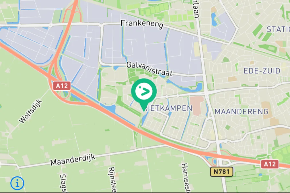Gespotte Huiszwaluw