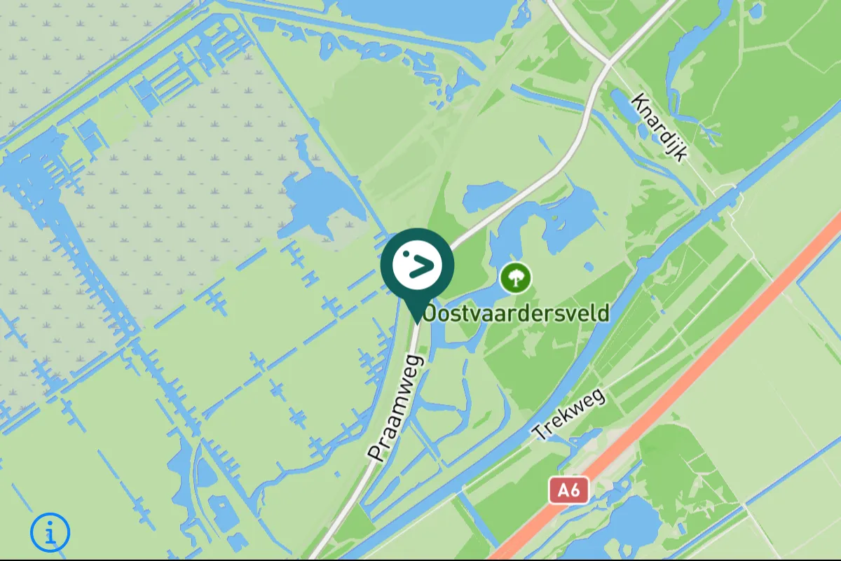 Gespotte Zeearend