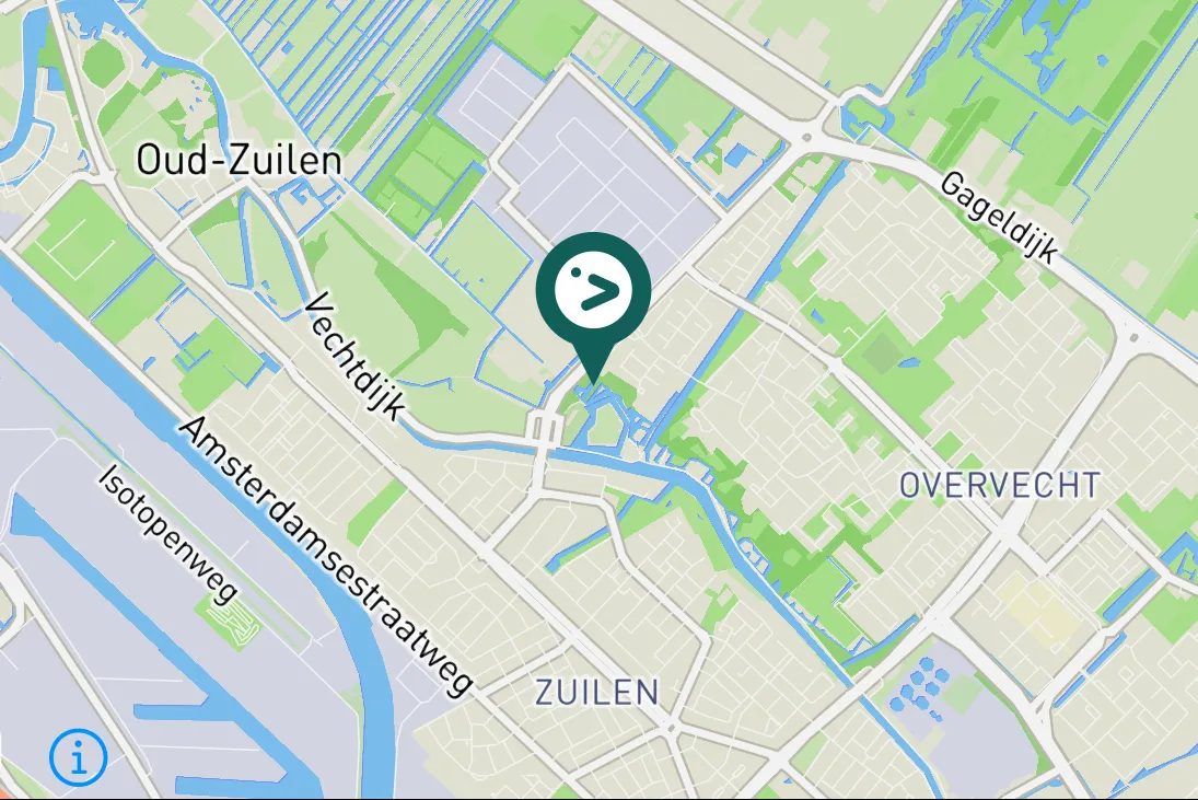 Spotted Eurasian Siskin