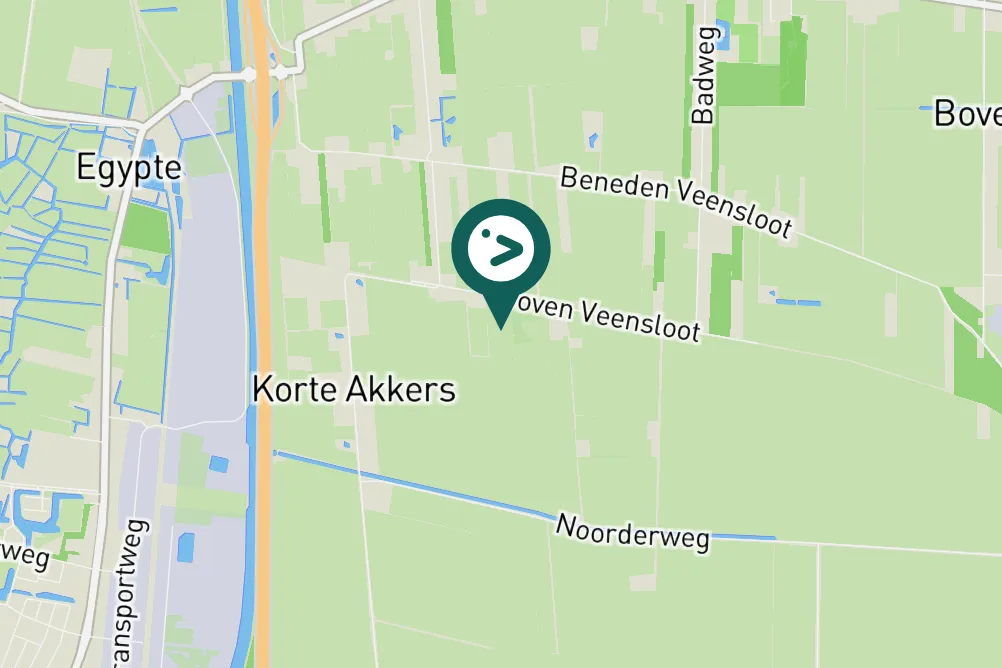 Gespotte Grote Canadese gans