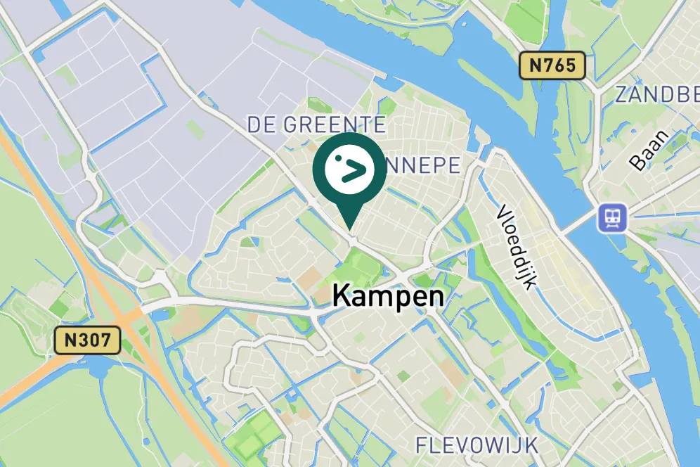 Gespotte Kleine mantelmeeuw