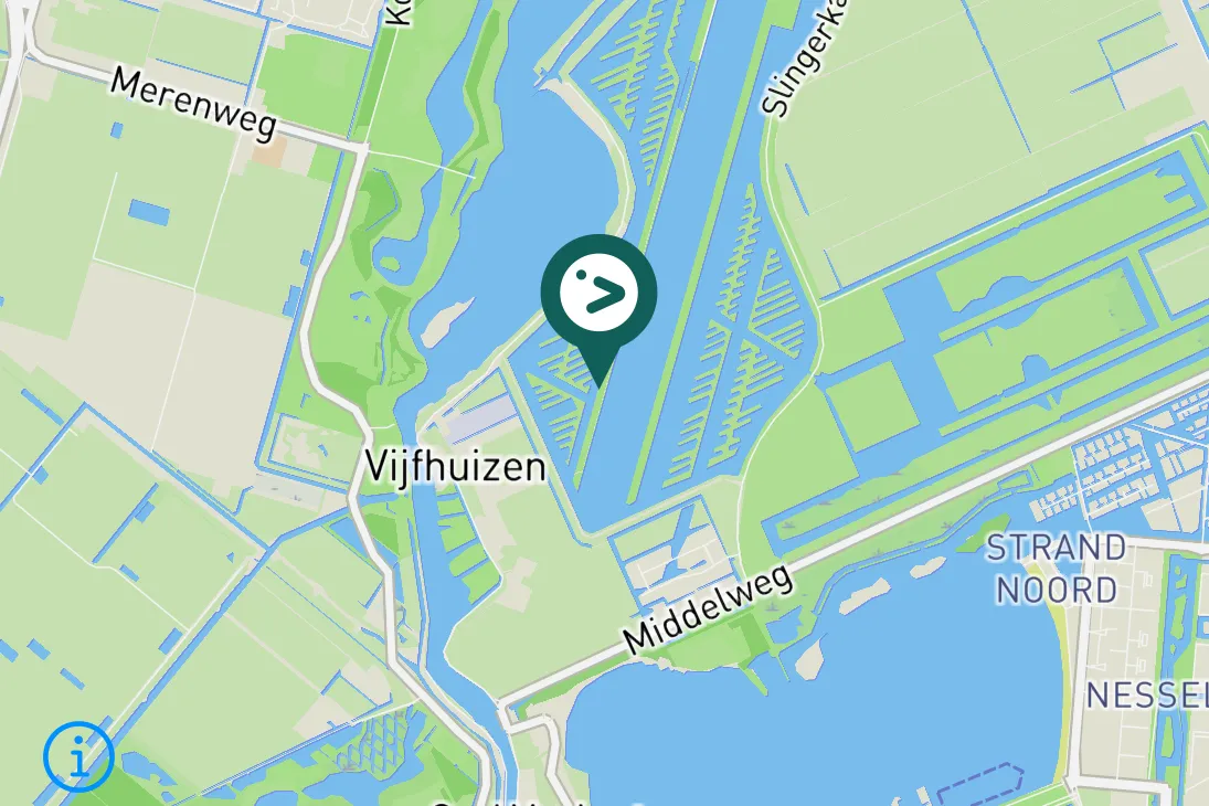 Gespotte Waterpieper