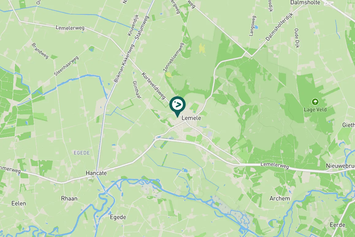 Gespotte Knobbelzwaan