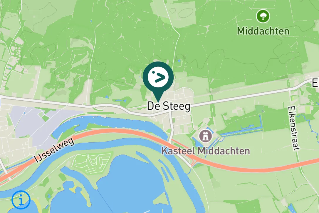 Gespotte Witte kwikstaart