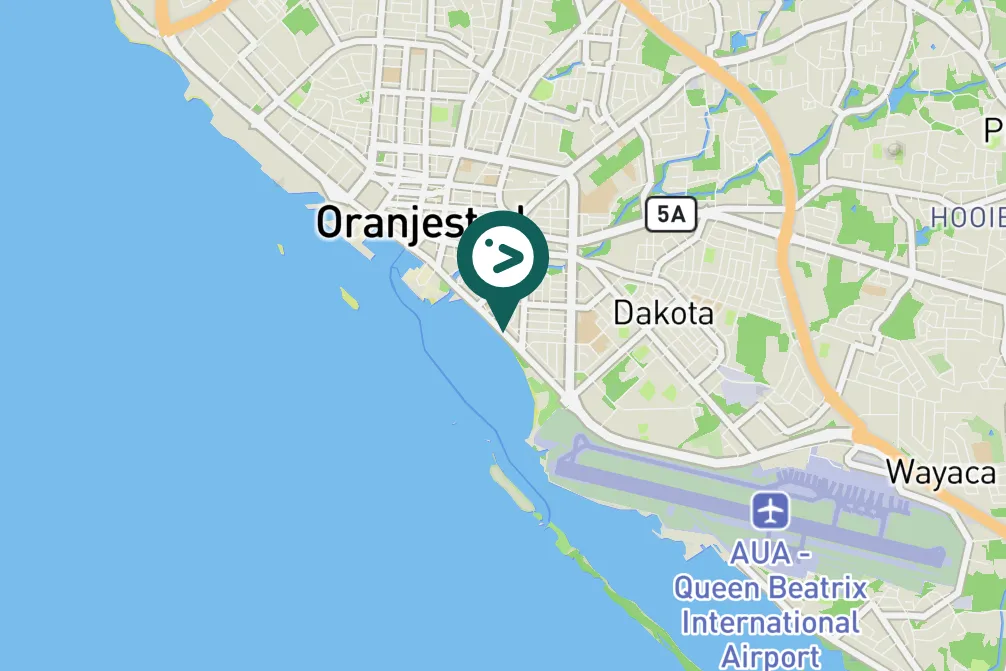 Spotted Brown Pelican