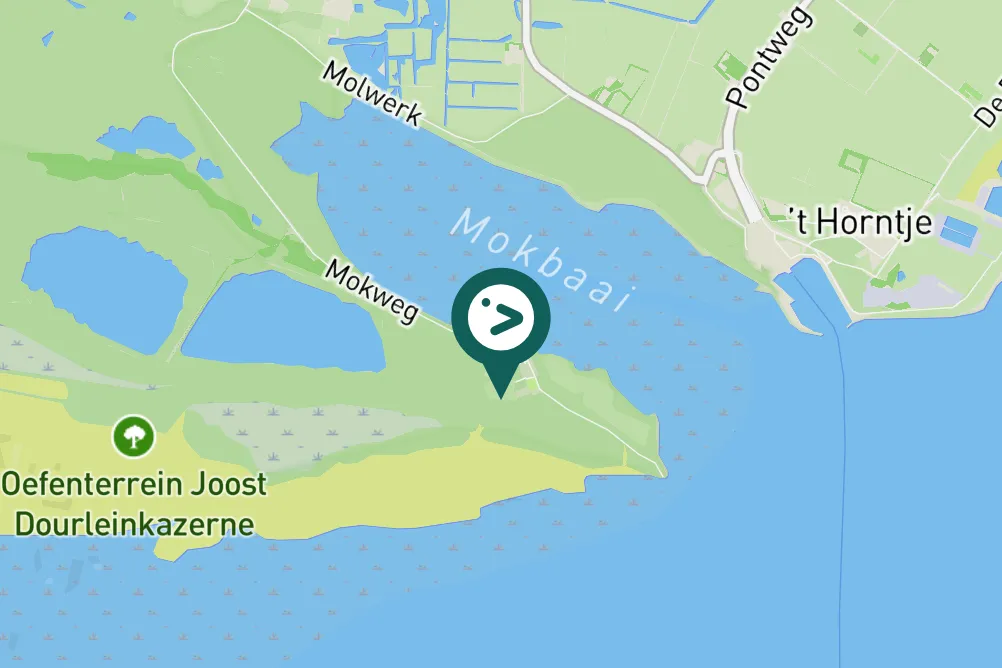 Gespotte Winterkoning