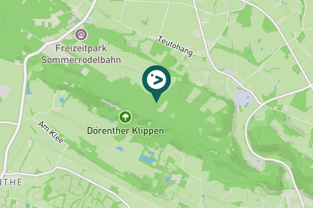 Gespotte Zwarte specht