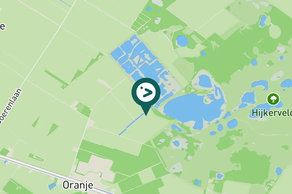 Gespotte Kraanvogel