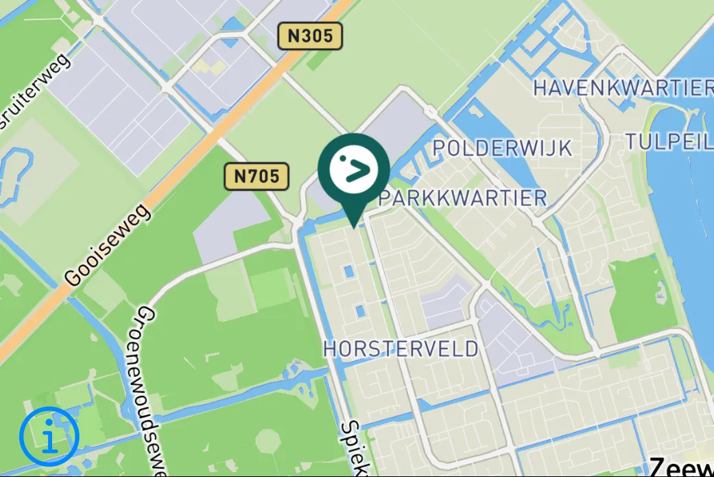 Gespotte Knobbelzwaan