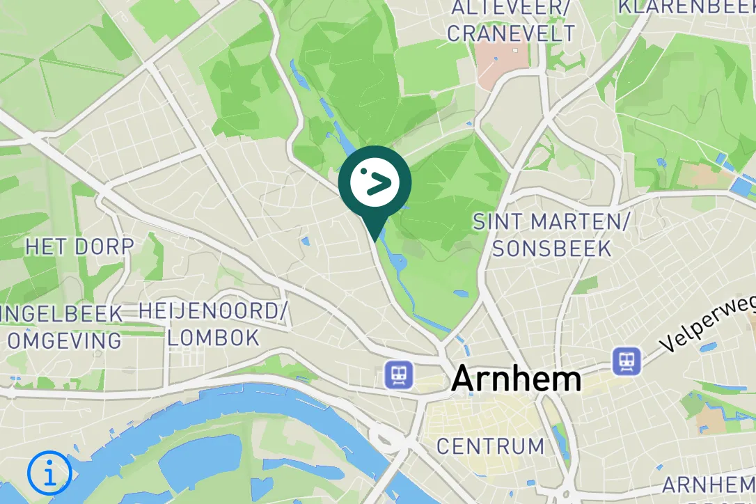 Gespotte Zwarte zwaan