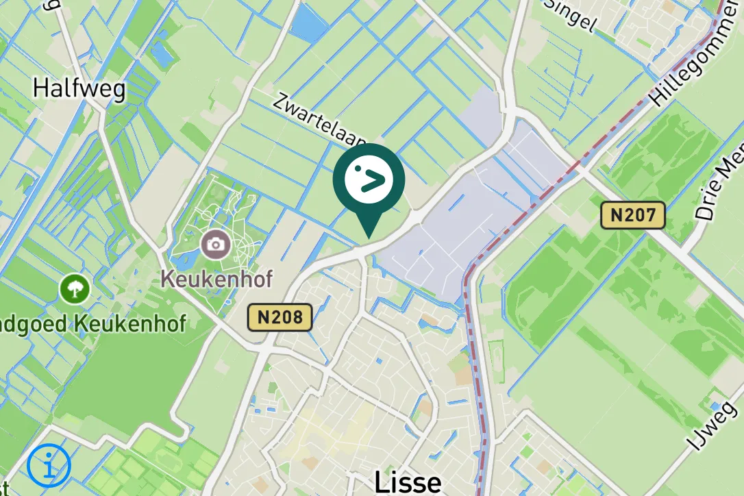 Gespotte Spreeuw