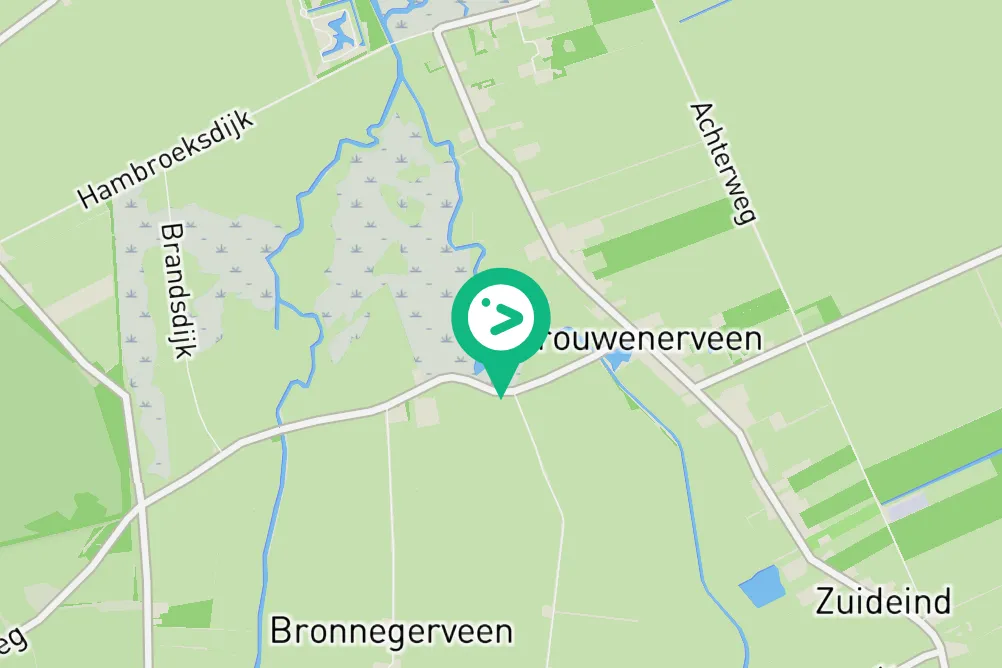 Gespotte Grauwe gans