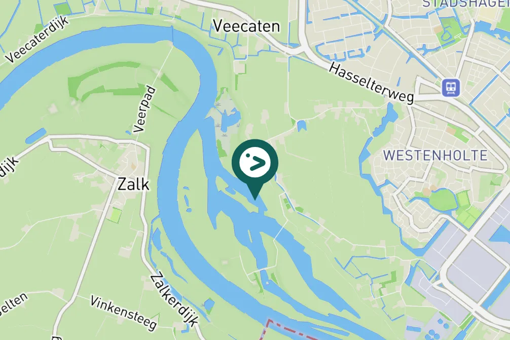 Gespotte Aalscholver