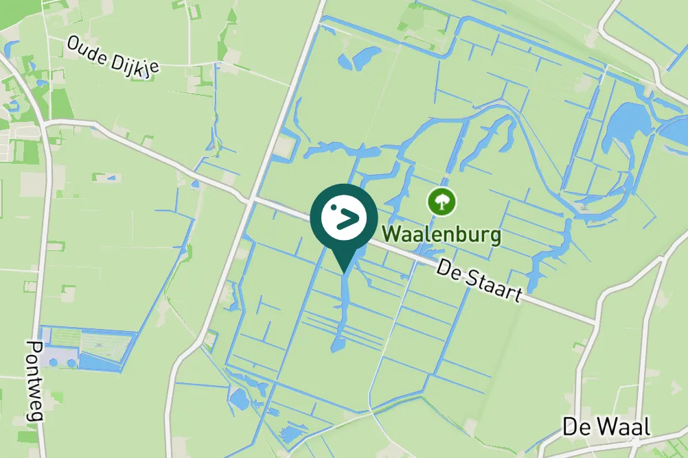 Gespotte Blauwe reiger